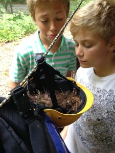 boys boarding school students discover birds nest